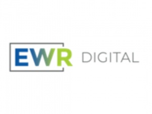 Get The Houston Web Design Service At EWR Digital