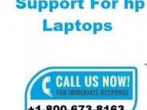 Contact HP -Help & Support