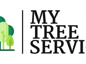 Safe Tree Removal Service