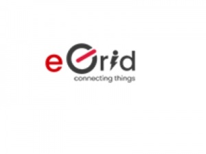 Egrid Electric Pvt Ltd