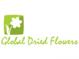 Global Dried Flowers | Buy dried flowers wholesale