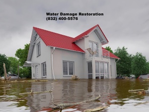 Rhino Restoration | Water Damage Restoration Houst