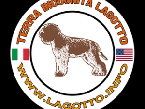 Lagotto Dog Trainer