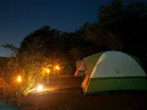 Camping near mumbai