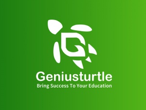 Genius Turtle LLC