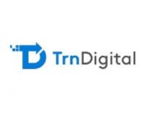 Best SharePoint Consulting Companies TrnDigital