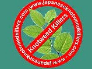 JAPANESE KNOTWEED CONTROL LTD