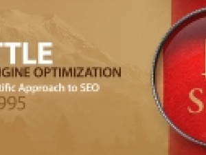 Premium SEO Seattle | Steve Mapua