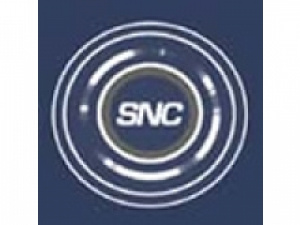 Singular Networks Inc.