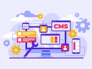 CMS Web Development Services in India & UK