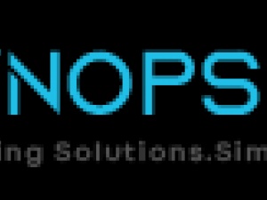 Synopsizor Technologies Inc.