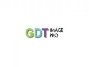 GDT Image Pro