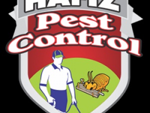 Pest Control Services in Lahore Termites Treatment