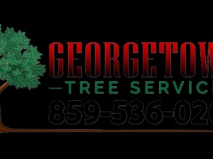 Georgetown Tree And Stump Service