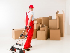 Removalists Albert Park