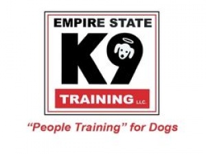 Best dog training services in Brookfield, CT