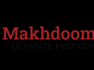 Pest Makhdoom
