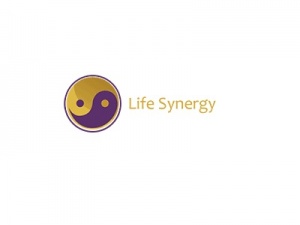 Life Synergy Retreat