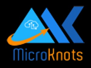 Microknots web design and development