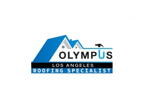 Olympus Roofing Specialist