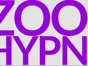 Zooma Hypnotherapy Practice Liverpool Ltd