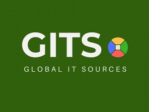Global IT Sources