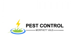 Pest Control Morphett Vale