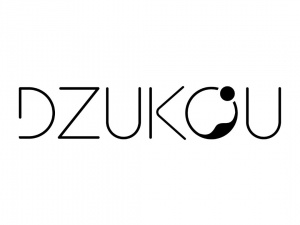 Eco-friendly Products Manufacturers India | Dzukou