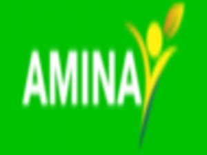 Amina International, LLC
