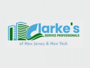 Clarkes Professional