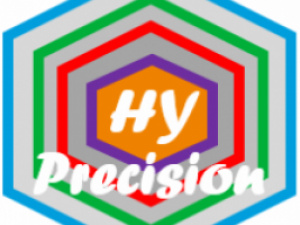 HY Precision Painting