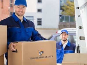 Removalists Newton