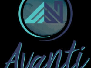 Avanti LLC – Gutter & Guards Solution