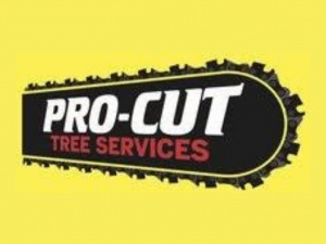 PC Tree Removal Melbourne