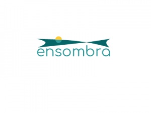 Sun Sail Installation | Ensombra.com