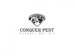 Pest Control Singapore | Conquer Pest