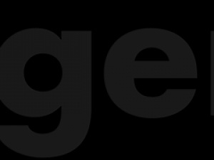 Sagenext Infotech LLC