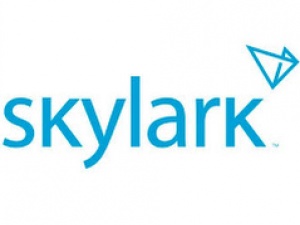 Skylarkinfo - Digital transformation services
