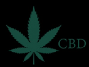 CBD Products For You