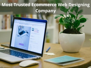 Ecommerce Web Designing Company