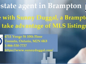 Real estate agent in Brampton