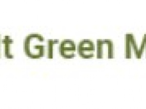 Keep It Green Maid Service – Houston