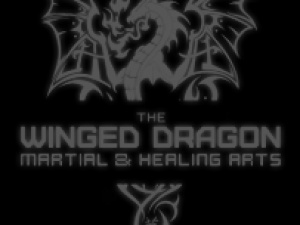 The Winged Dragon- Martial Arts and Self Defence 