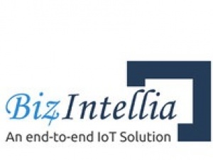 End to end IoT Solutions Provider