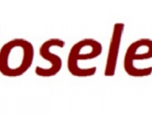 Roselee Sanitary Napkin Manufacturer CO Ltd