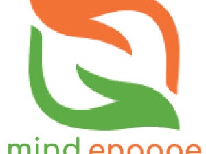 Mind Engage Therapist