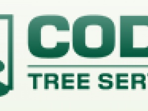 Arborists in Kelowna - Cody Tree Service