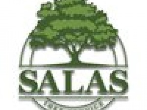 Salas Tree Service