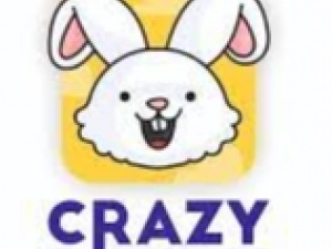Crazy Bunny