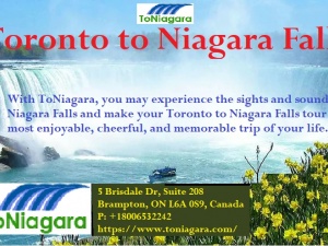 Toronto to Niagara Falls tours